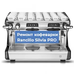 Чистка кофемашины Rancilio Silvia PRO от накипи в Челябинске